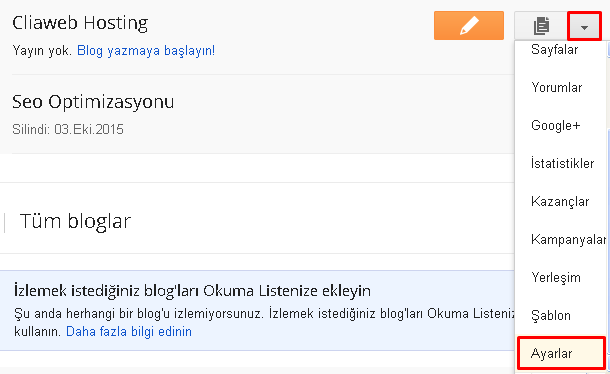 blogger-domain-yonlendirme-1